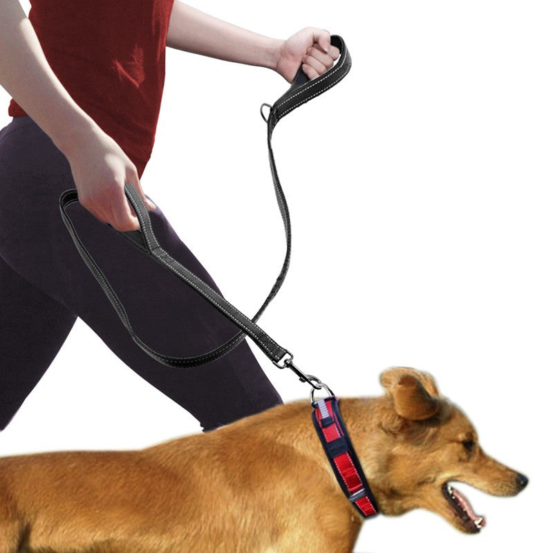 Double-handle dog leash with reflective webbing, black strap and metal clips