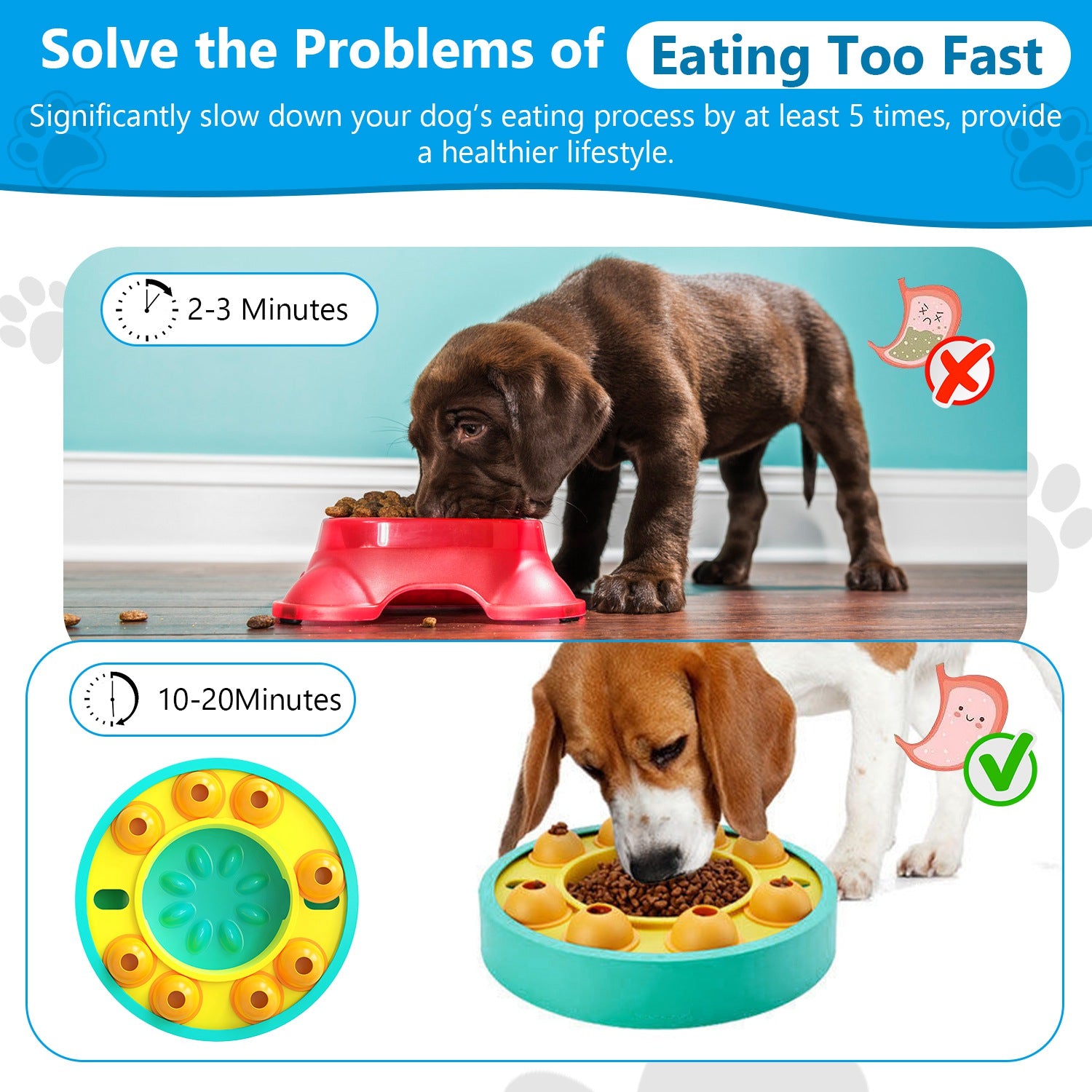 Teal slow-feeder dog bowl with yellow rim, orange rotating treat compartments, green center