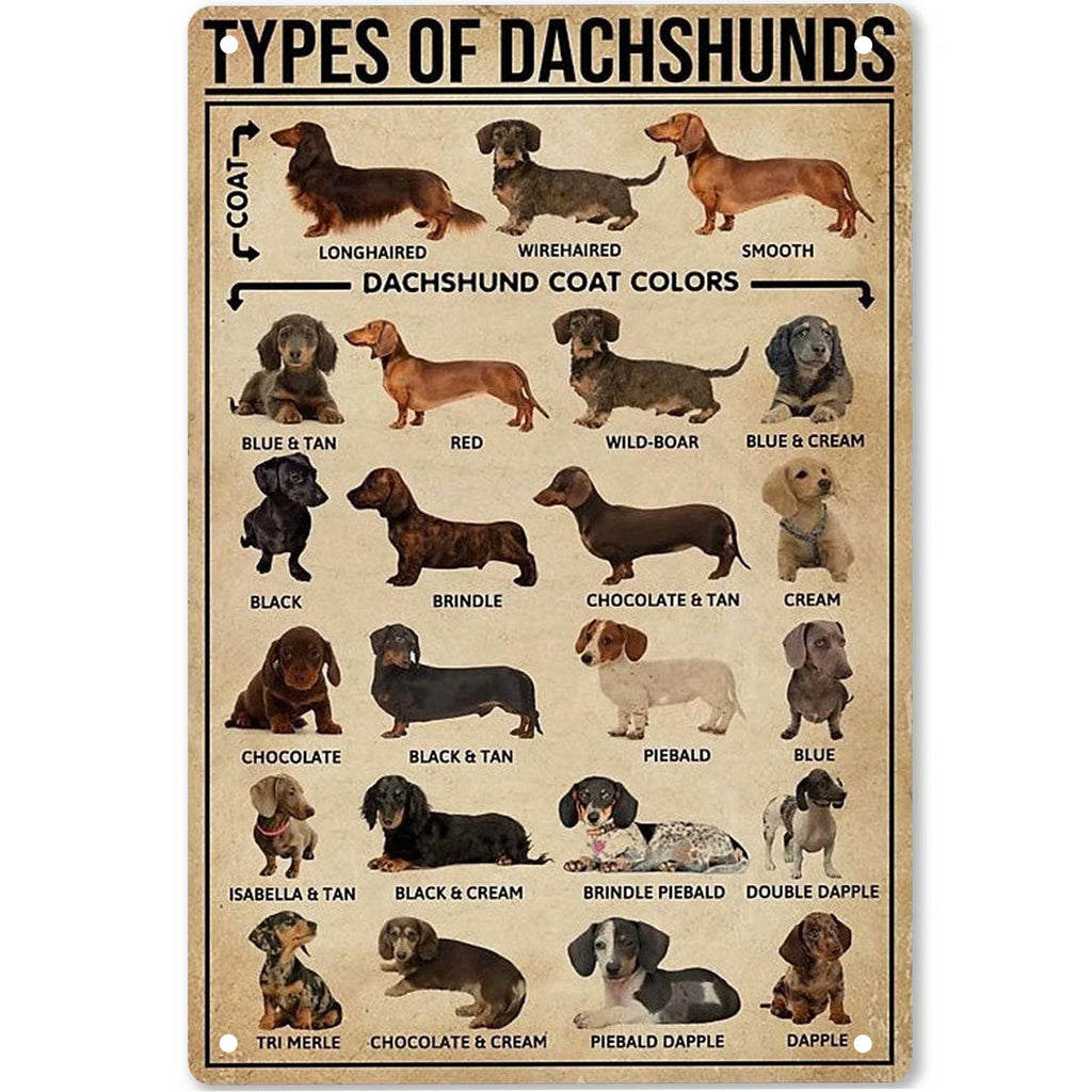 Dachshund tinplate wall sign with dachshund coat types chart and labels