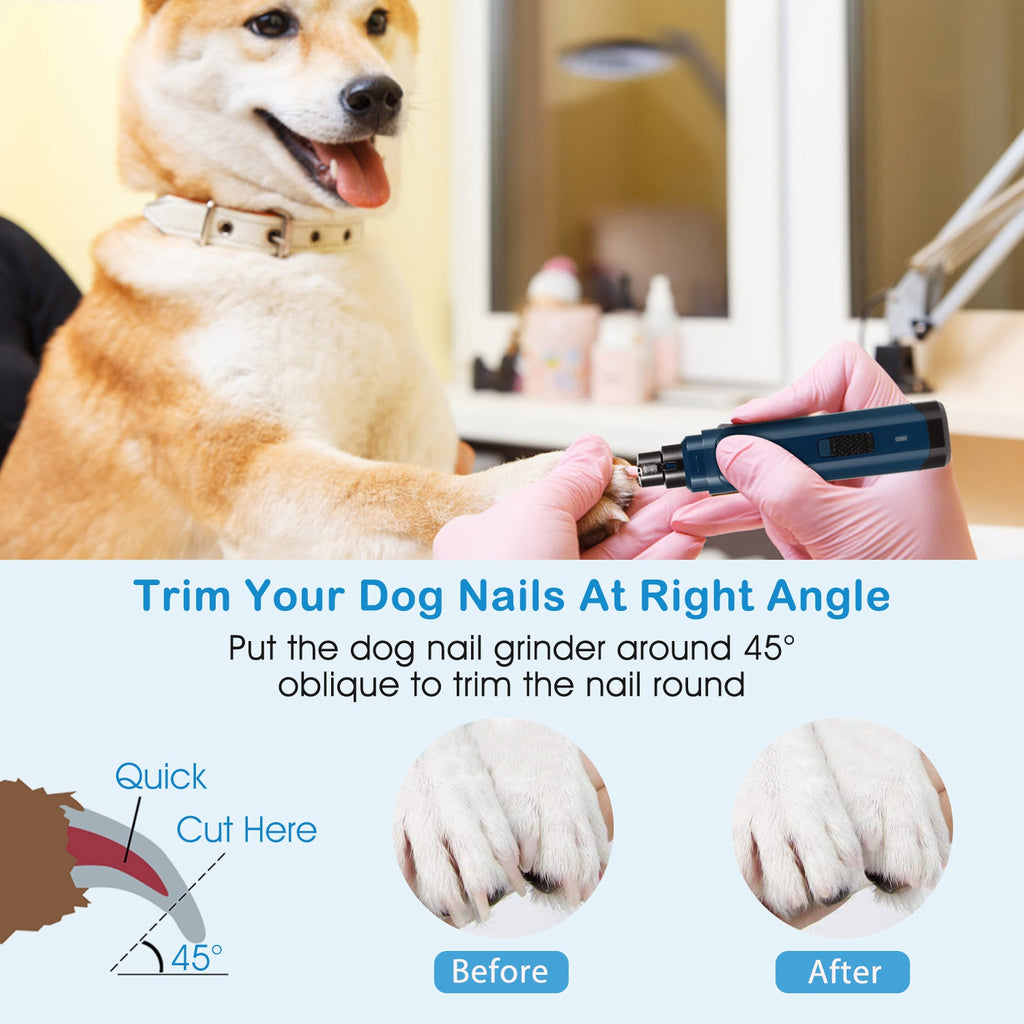 Pet nail grinder in use: blue body and black head held by gloved hand