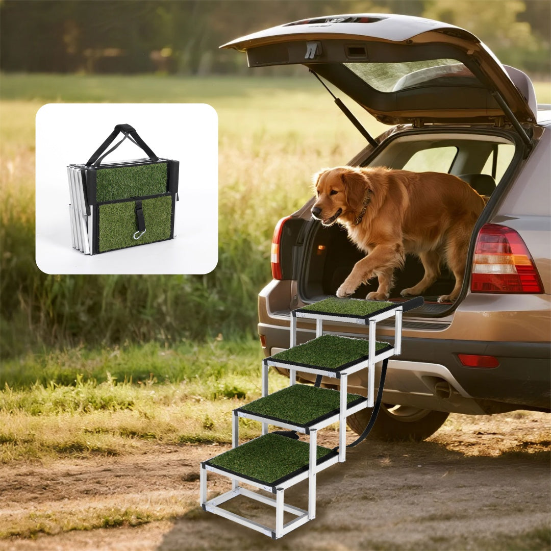 Golden dog using foldable car ramp with green non-slip steps and silver frame