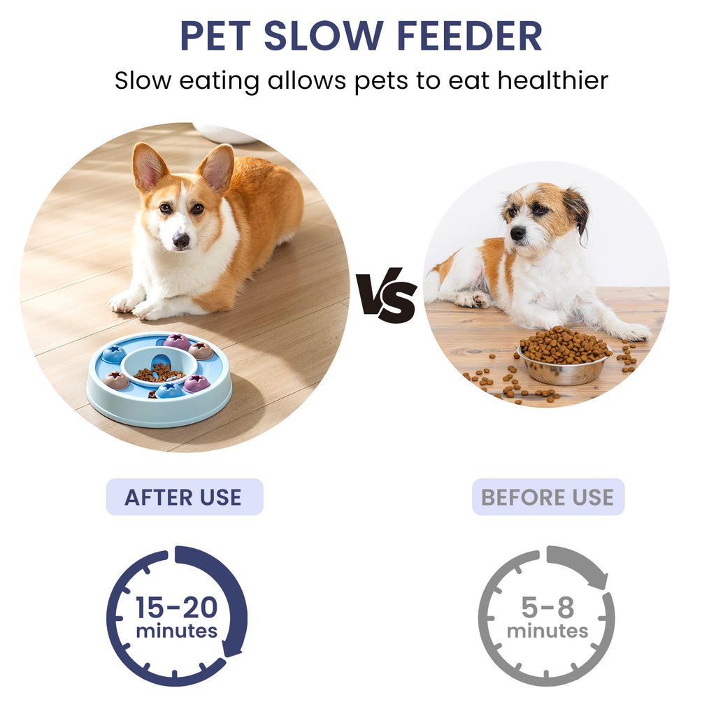 Pet slow feeder puzzle toy with circular tray and star/bone inserts, with kibble