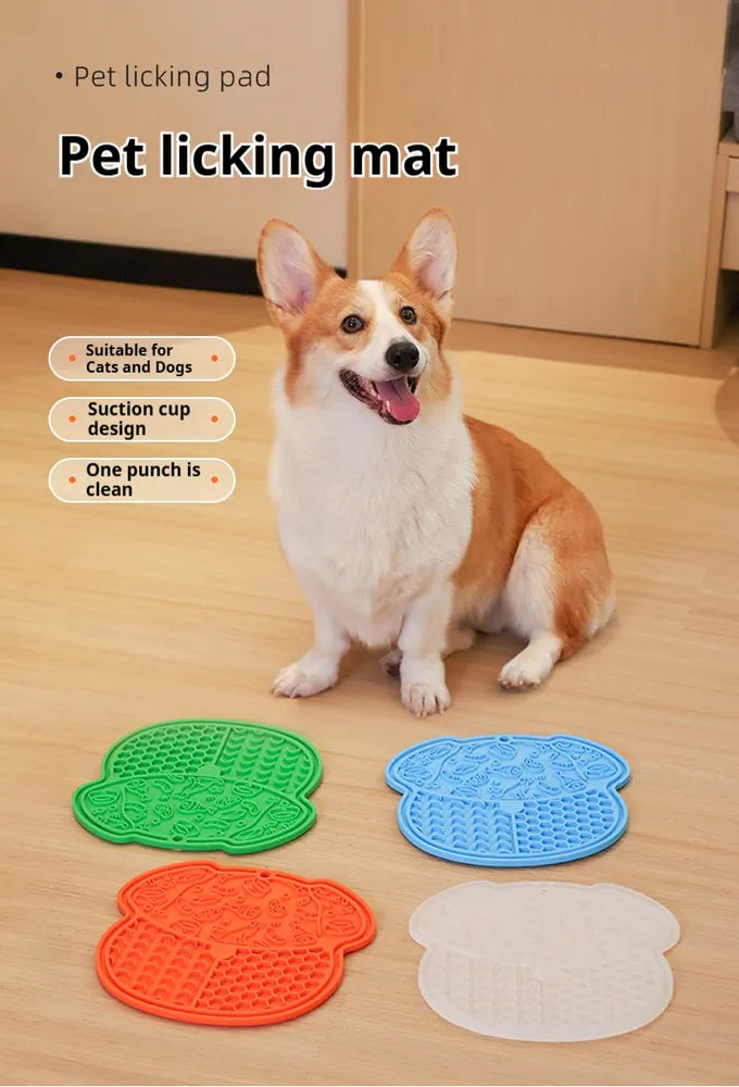 Dog with pet lick mat set on the floor: green, blue, orange, and beige pads.