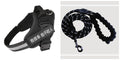Dog harness with black straps and purple lead, plus matching leash with black clasp