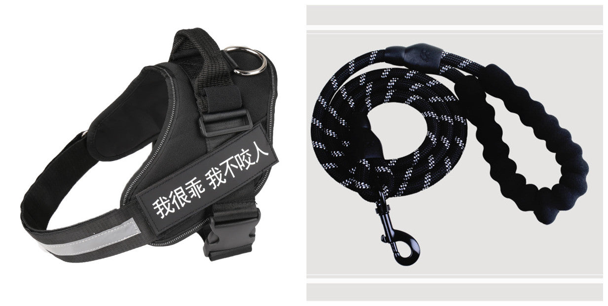 Dog harness with black straps and purple lead, plus matching leash with black clasp