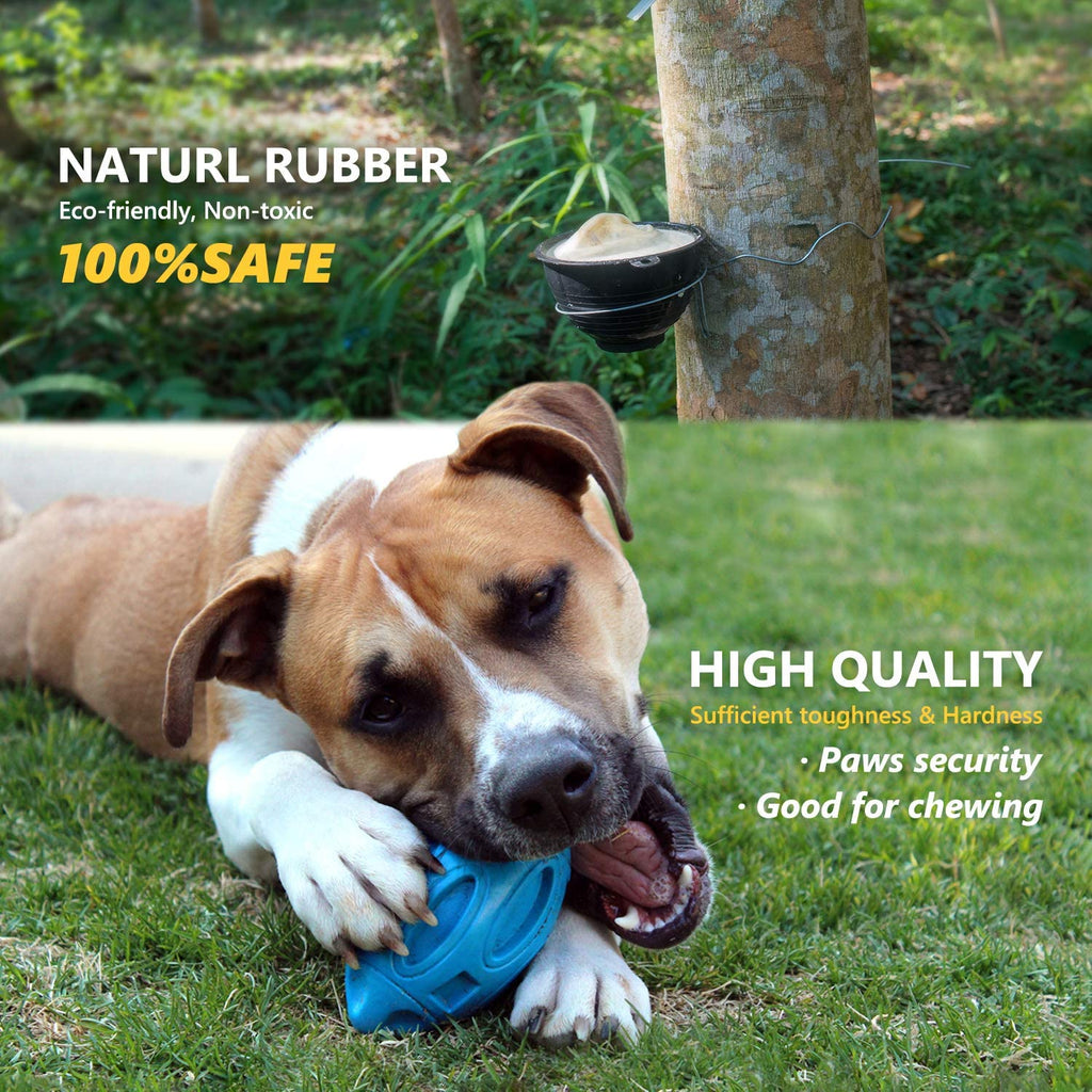 Blue squeaky rubber rugby dog toy ball with textured surface, dog chewing