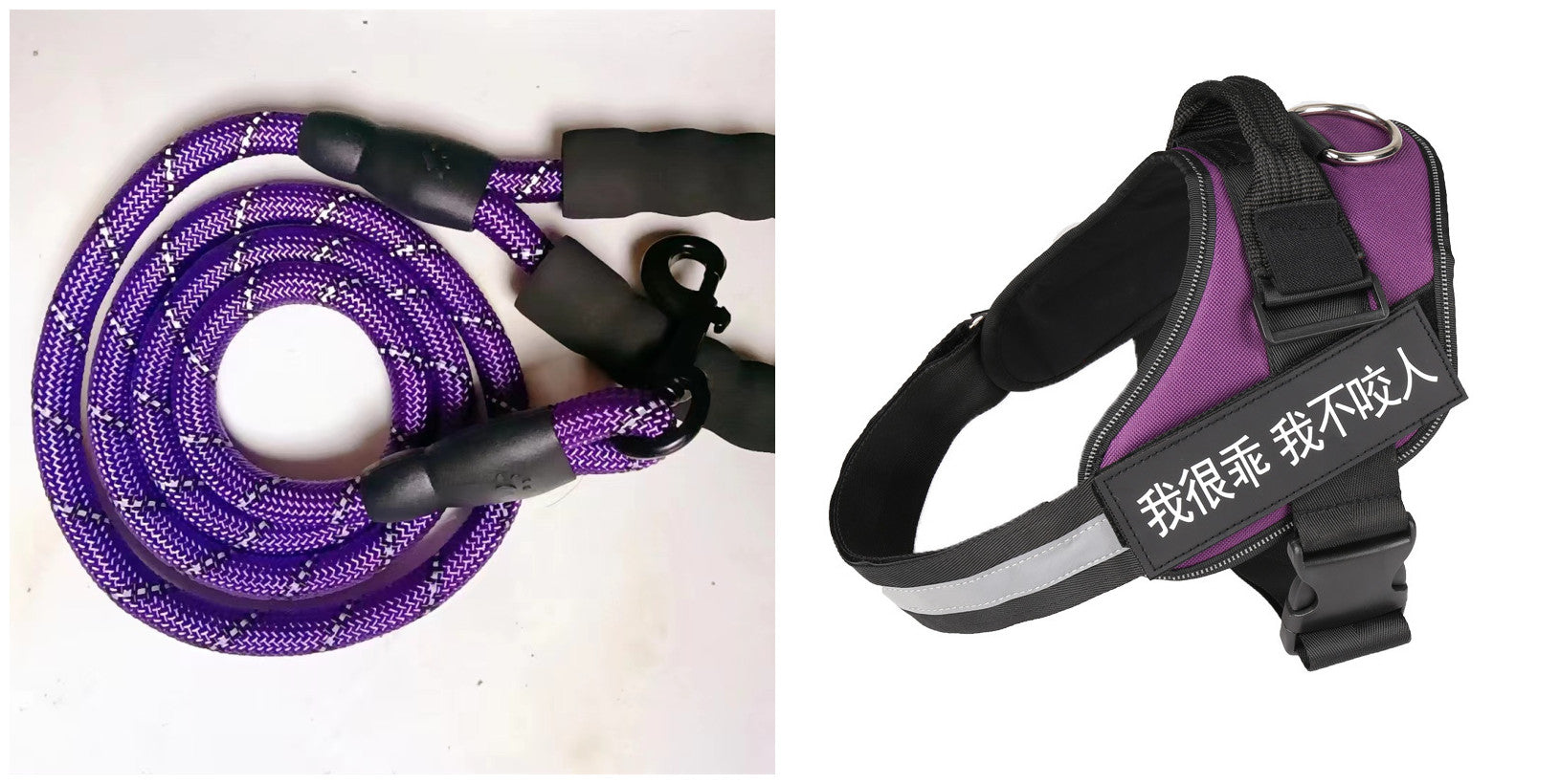 Dog harness with purple accents and black straps, paired with purple braided leash