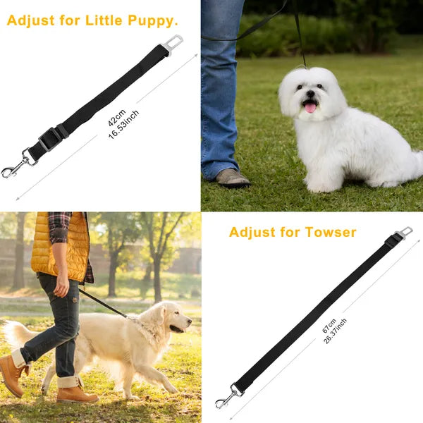 Black adjustable dog seat belt leash with metal clips, adjustable webbing for small dogs