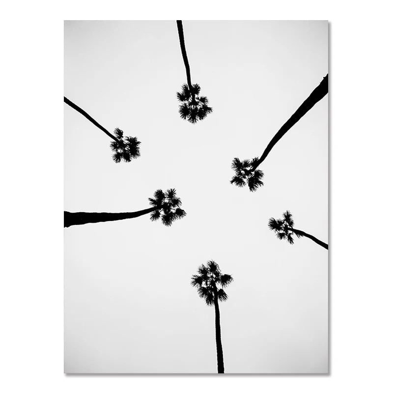 Black-and-white wall poster with palm trees radiating in a star-like pattern