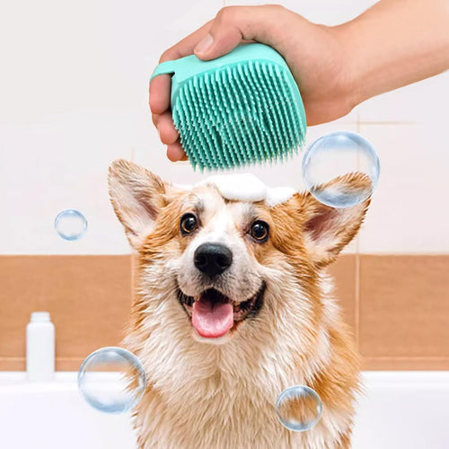 Teal pet grooming brush lifted for bath grooming on a dog