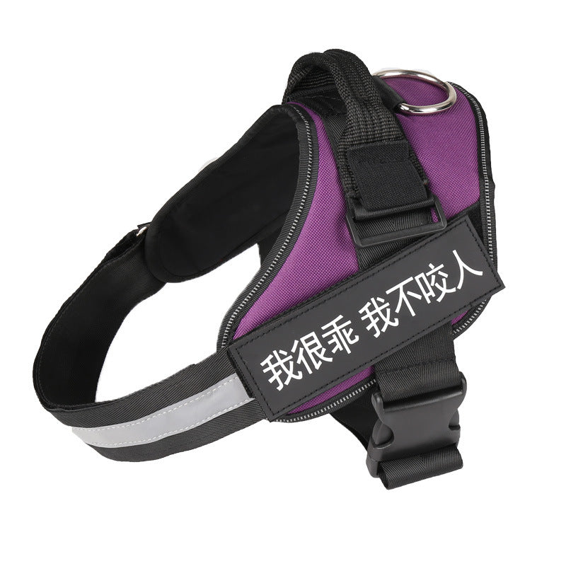 Dog harness with purple panel and black straps, featuring a chest strap and buckle