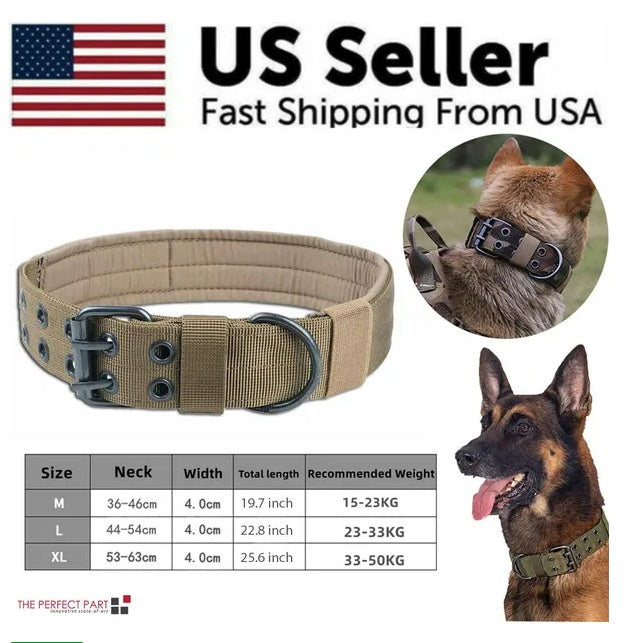 Beige nylon dog collar with metal buckle and reinforced eyelets