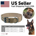 Beige nylon dog collar with metal buckle and reinforced eyelets