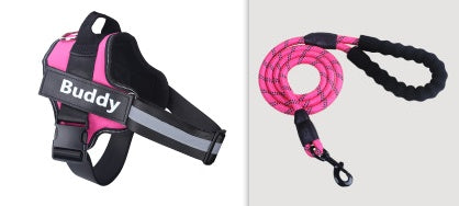 Pink dog harness with chest strap and matching lead, black clip, 'Buddy' label