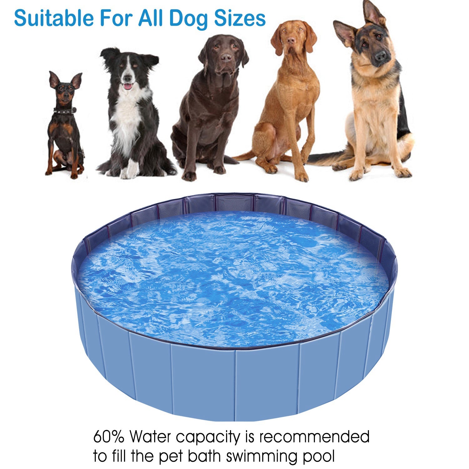Blue pet swimming pool with blue water, shown with multiple dog sizes above