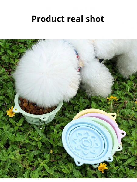 Mint-green collapsible pet travel slow-feeder bowl with circular puzzle-style pattern