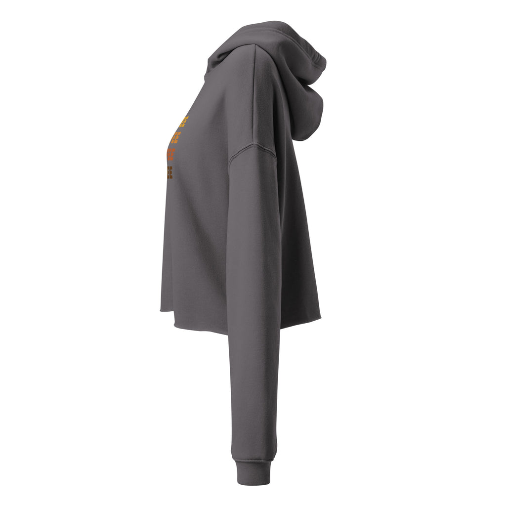 Charcoal gray cropped hoodie with drawstring hood and long sleeves